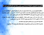 ترم تابستان